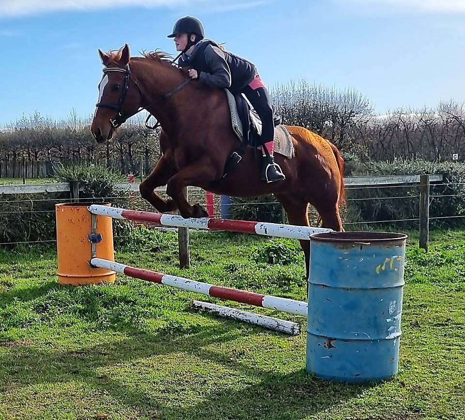 A pony jumping a log obstacle with cones
