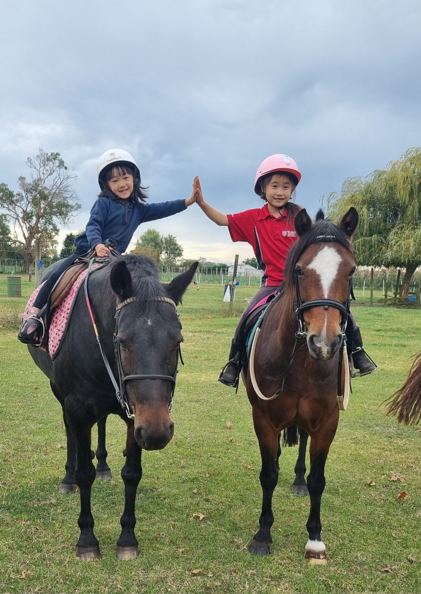 Two young riders sharing a high-five during a lesson at Acreswild